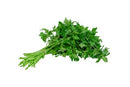 Parsley Leaf