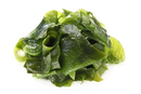 Seaweed