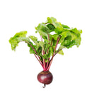 Beet Leaf
