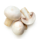 Mushroom, Button