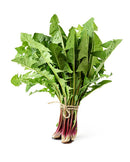 Dandelion Greens