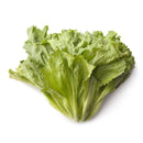 Escarole