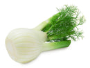Fennel