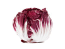 Radicchio