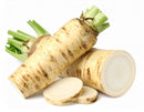Horseradish