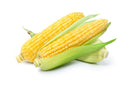 Corn on the Cob