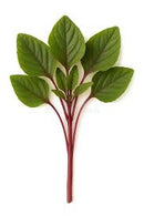Amaranth Leaves