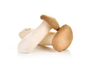 Mushroom, Trumpet