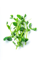 Pea Shoots