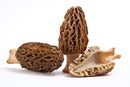 Mushroom, Morel