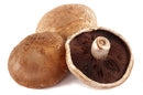 Mushroom, Portobello