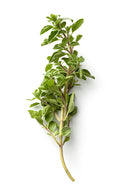 Oregano