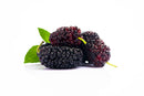 Mulberries