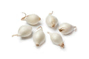 Pearl Onion