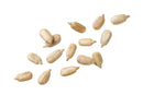 Sunflower Seeds