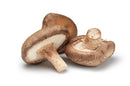 Mushroom, Shiitake